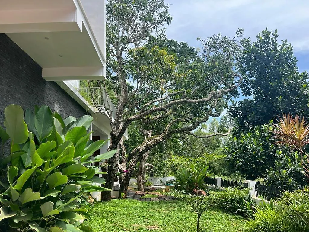 Guest house Nights & Rains - The Ultimate Quiet Getaway