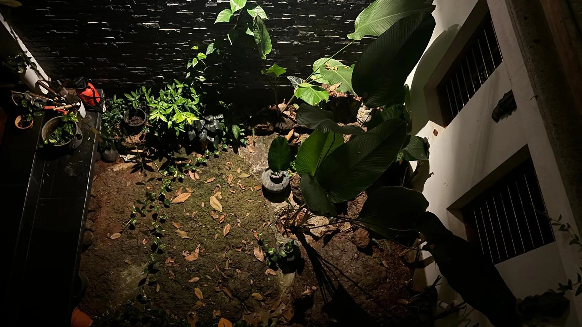 Nights & Rains - The Ultimate Quiet Getaway Hotell Thiruvananthapuram 0*,  Indien